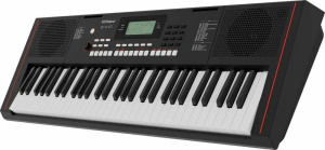 Roland E-X10 синтезатор с автоаккомпанементом, 61 клавиша, 64 полифония, 207 стилей, 610 тембров