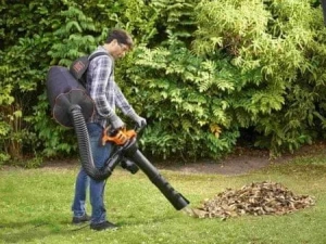 Электрический садовый пылесос-воздуходувка BLACK+DECKER BEBLV300-QS
