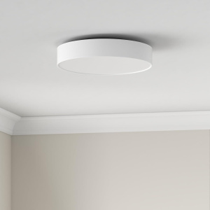 Умный потолочный светильник Philips Hue Enrave M white ambiance 915005996601, белый